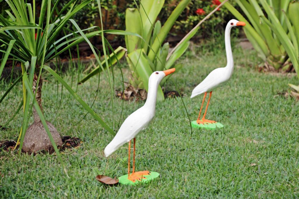 Pousada Vila Do Porto Porto de Galinhas Ngoại thất bức ảnh